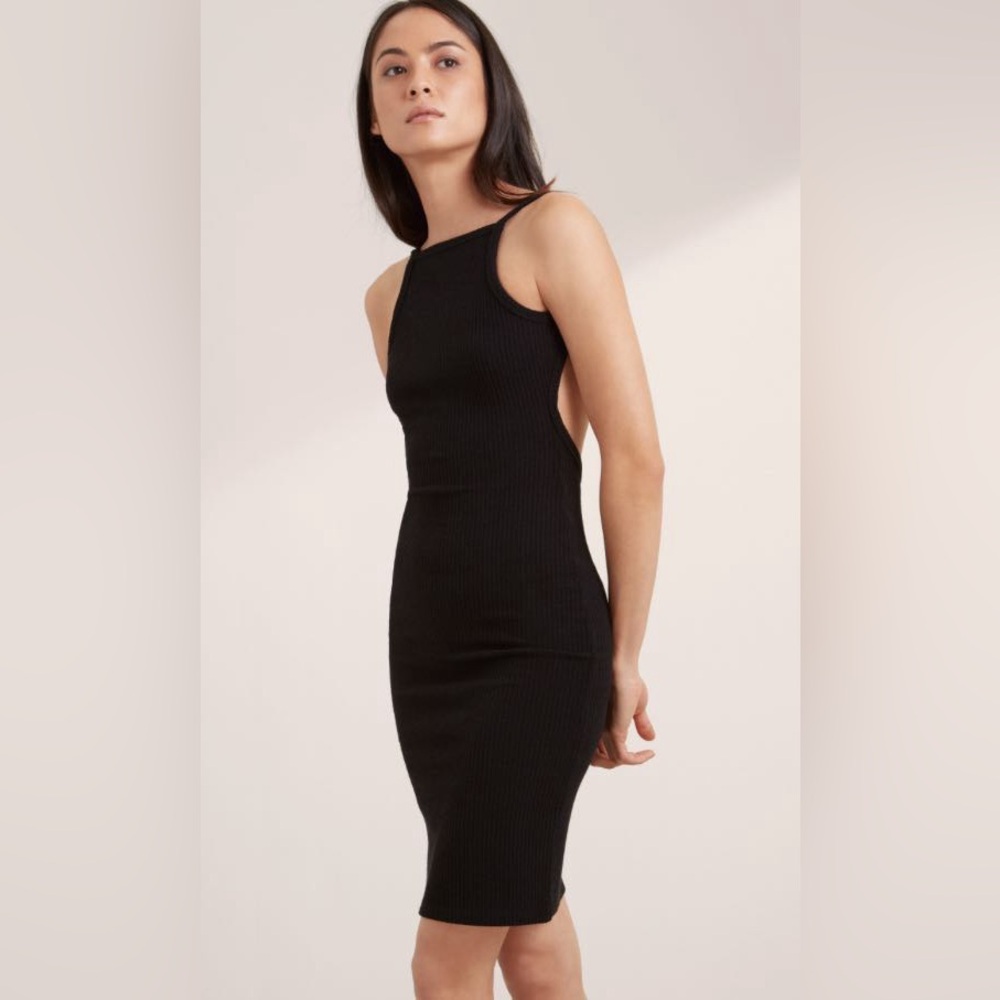 Aritzia Community Hartmann Dress